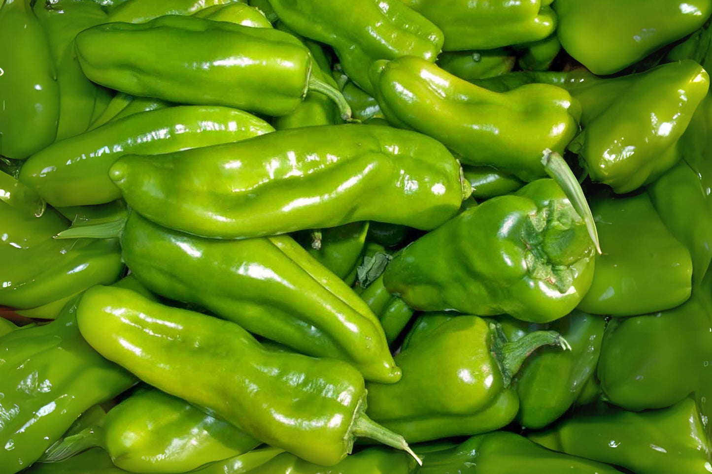 Cubanelle Sweet Pepper Seeds | Mild Heirloom, Non-GMO (250 mg)