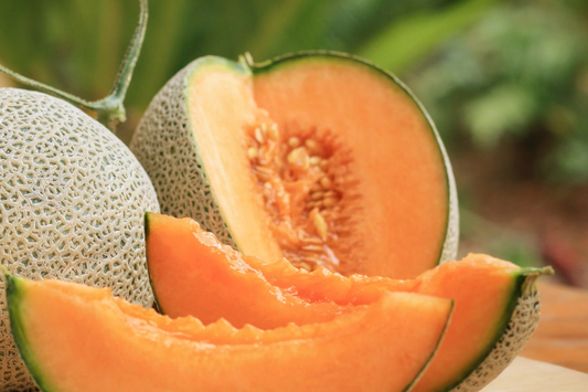 25pcs Cantaloupe Melon Seeds - Sweet Juicy Summer Fruit - Easy to Grow Heirloom Seeds for Backyard or Container Gardens