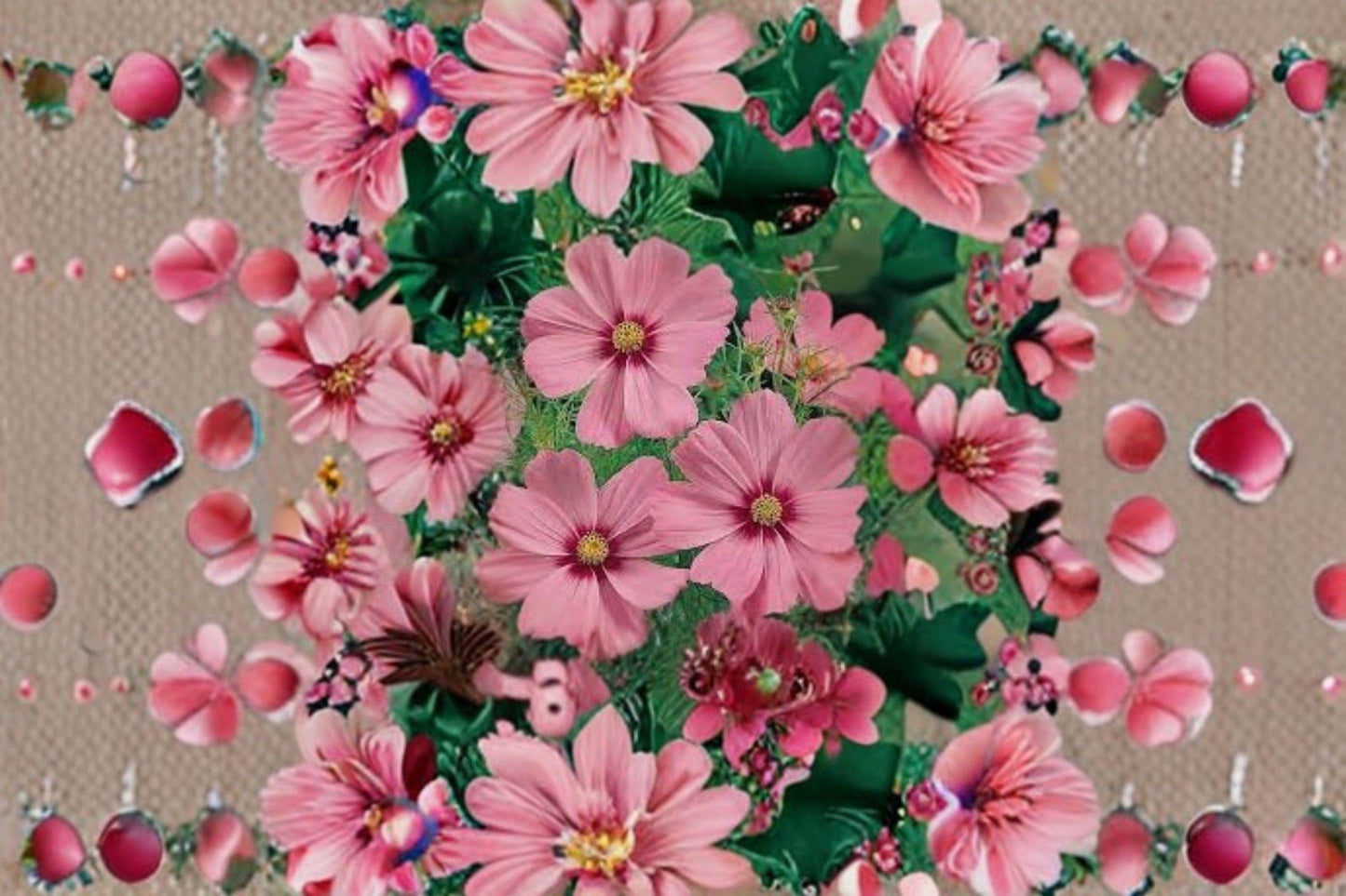 Cosmos Gloria Seeds: Vibrant Pink Garden Blooms (100 Seeds)