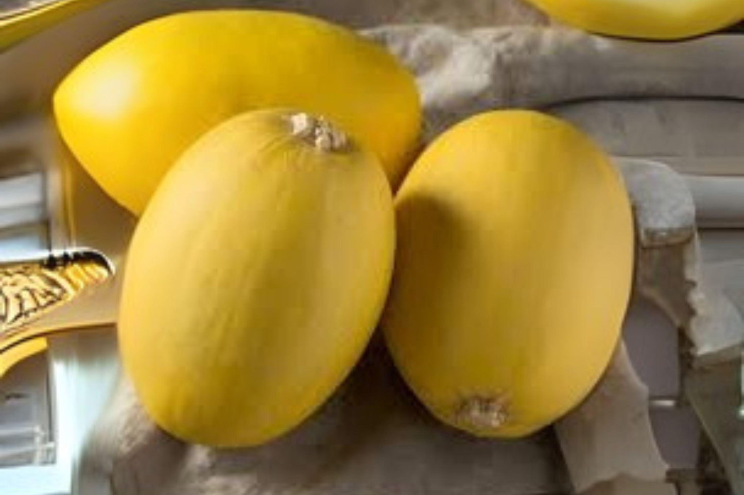 Spaghetti Squash Seeds: Winter Squash Heirloom (1g)