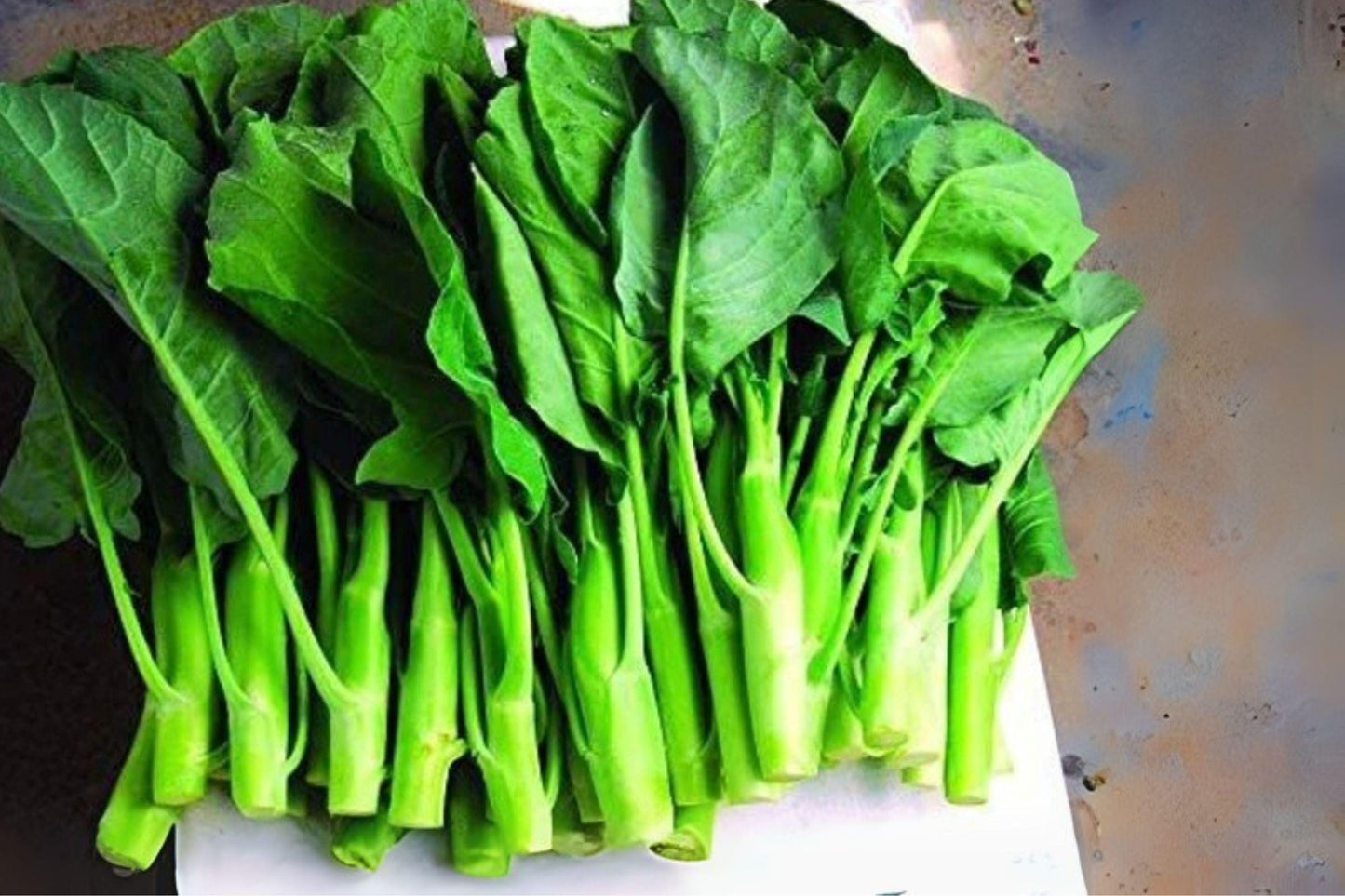 150 Kailaan Seeds: Chinese Broccoli, Gai Lan Heirloom Vegetable