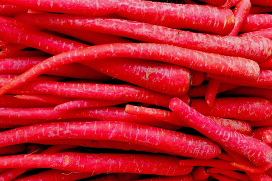 1000pcs Red Carrot Seeds - Sweet Heirloom Root Veggie for Planting - Vibrant Juicy Variety for Home Gardens