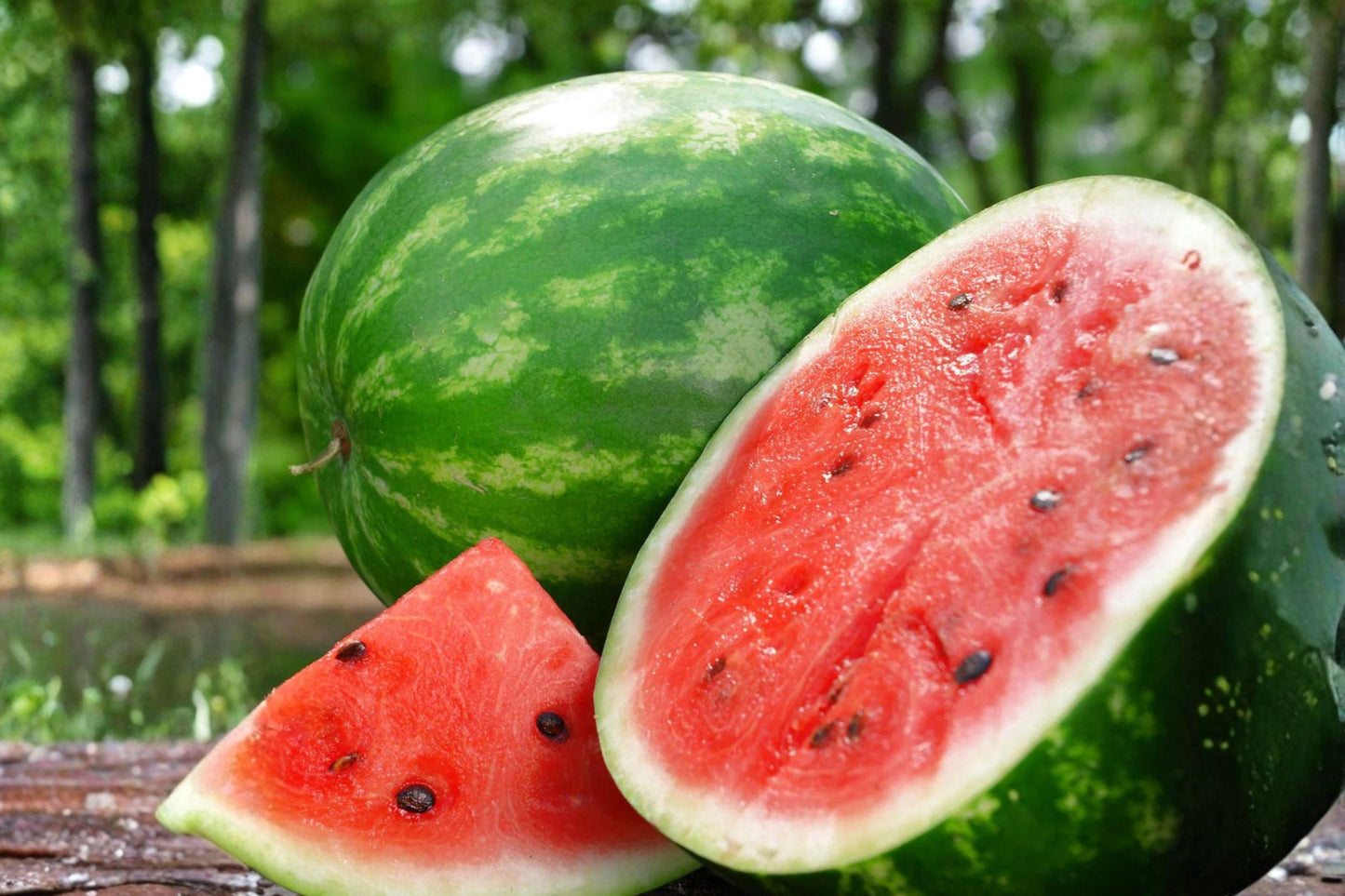 2g Seeds Crimson Sweet Watermelon | Heirloom Red Flesh Melon | Garden Vegetable Seeds