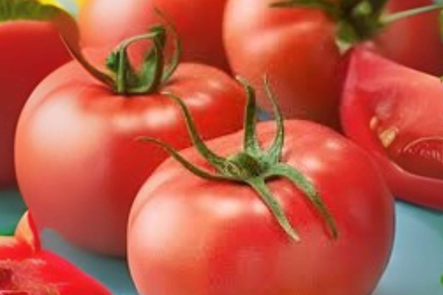 Super Sioux Tomato Seeds (100 mg) | Heirloom, Non-GMO