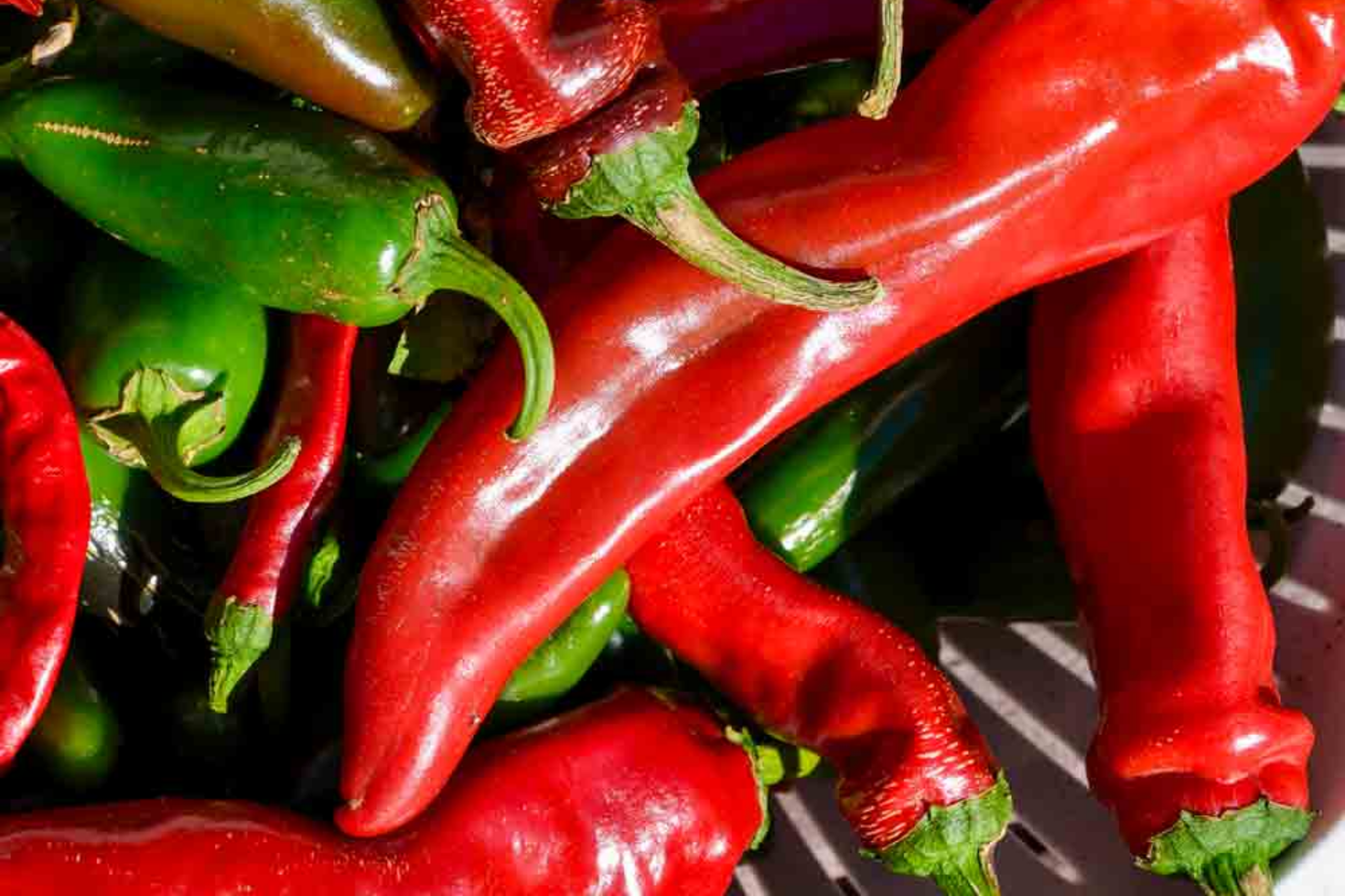 25 Hot Portugal Pepper Seeds - Capsicum annuum - Heirloom Chili, Medium-Hot Peppers, Early Maturing, Non-GMO