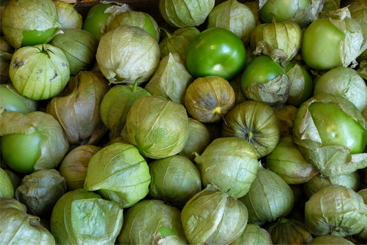 100mg Tomatillo Verde Seeds | Physalis ixocarpa Vegetable | Fresh Salsa Verde & Mexican Cuisine Essential