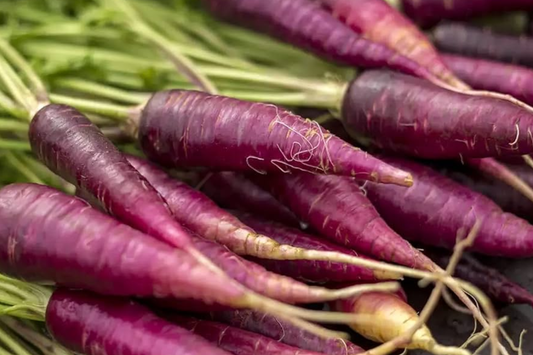 1000 Purple Carrot Seeds - Heirloom Non-GMO Vegetable Seeds for Planting - Unique Deep Purple Color & Sweet Flavor