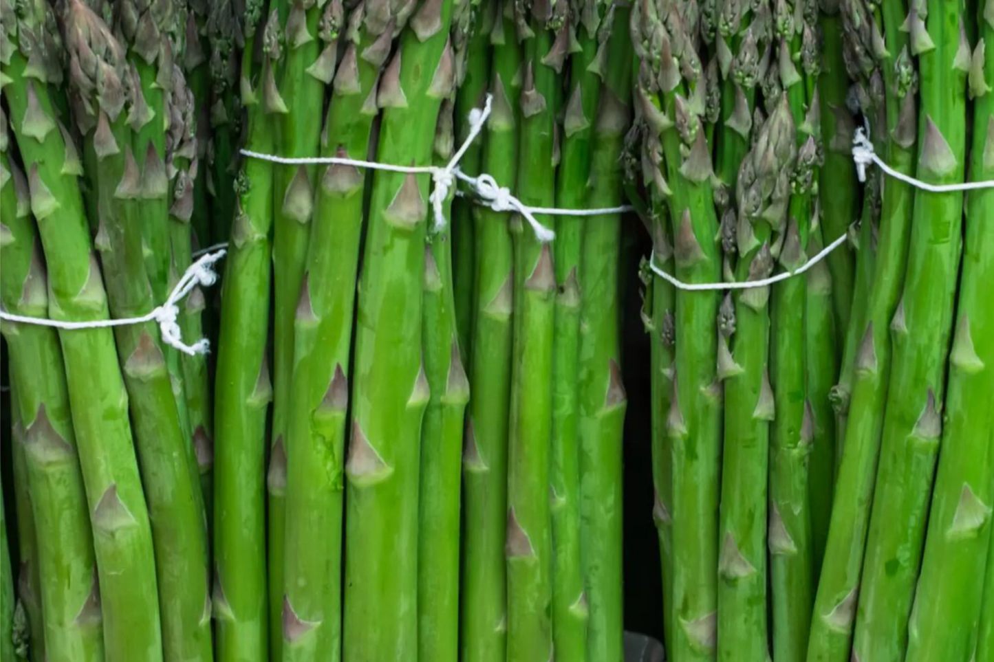 50pcs Mary Washington Asparagus Seeds - Heirloom Perennial Vegetable - Non-GMO Green Spears for Home Garden Planting