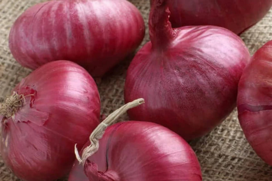 250mg Southport Red Globe Onion Seeds | Allium cepa Heirloom Vegetable | Crisp Flavor, Red Skinned Garden Favorite