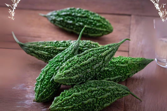 5 Seeds Bitter Gourd Futo Spindle – Unique Heirloom Variety for Home Gardens & Traditional Cooking