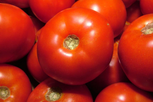 100mg Tomato Rutgers Seeds Solanum lycopersicum | Heirloom Variety, Non-GMO, Ideal for Canning & Fresh Use