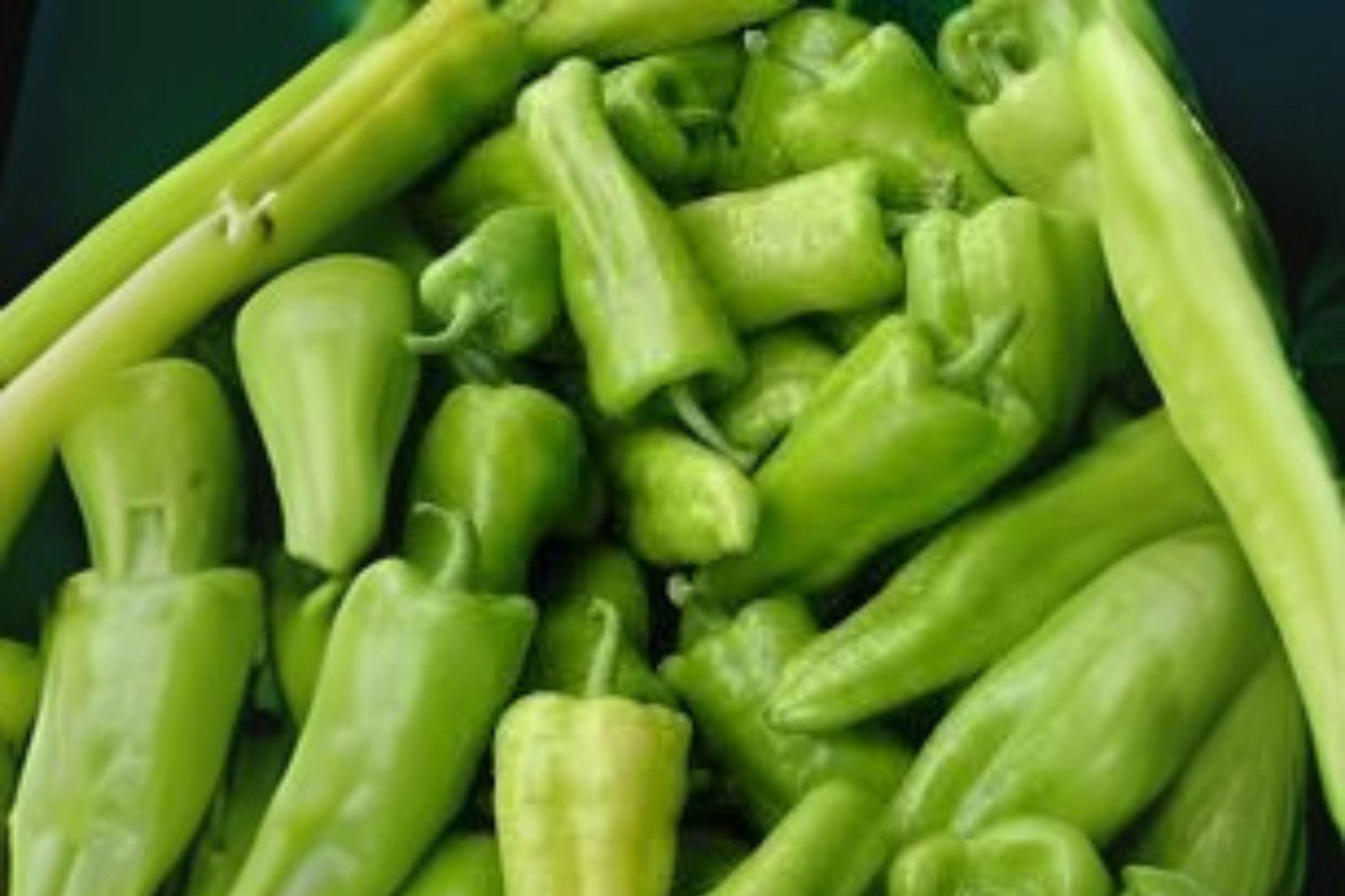 Cubanelle Sweet Pepper Seeds | Mild Heirloom, Non-GMO (250 mg)