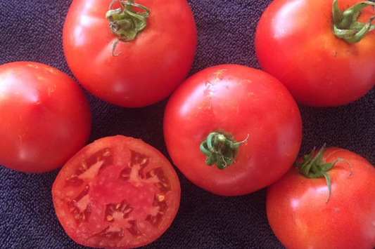 100mg Tomato VR Moscow Seeds Solanum lycopersicum | Heirloom, Disease-Resistant, Non-GMO, Sweet Flavor, High Yield, Easy to Grow