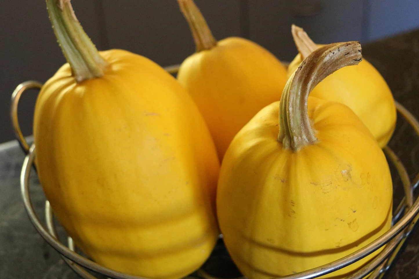 1g Vegetable Spaghetti Winter Squash Seeds Cucurbita pepo | Non-GMO, Low-Carb Pasta Alternative, Easy to Grow, High Yield, Heirloom Variety