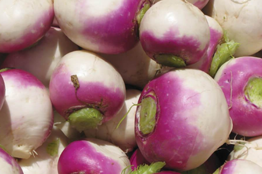 1g Turnip Purple Top White Globe Seeds Brassica rapa | Heirloom, Non-GMO, Dual-Purpose, Nutritious Roots & Greens, Easy to Grow