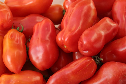 100mg Tomato San Marzano Seeds Solanum lycopersicum | Indeterminate, Heirloom, Non-GMO, Perfect for Sauces, Paste, Canning & Italian Cuisine