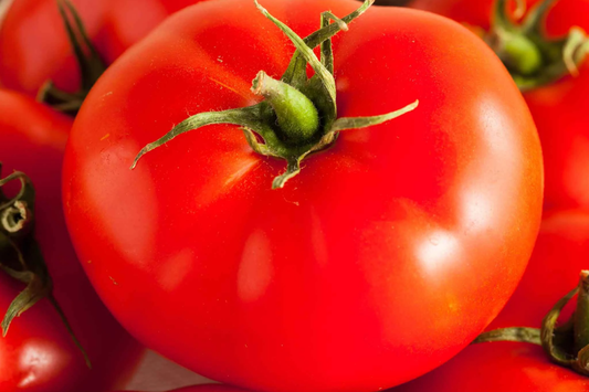 300mg Tomato Beefsteak Seeds Solanum lycopersicum | Heirloom, Juicy & Large Fruits, Non-GMO Vegetable, Perfect for Slicing and Sandwiches