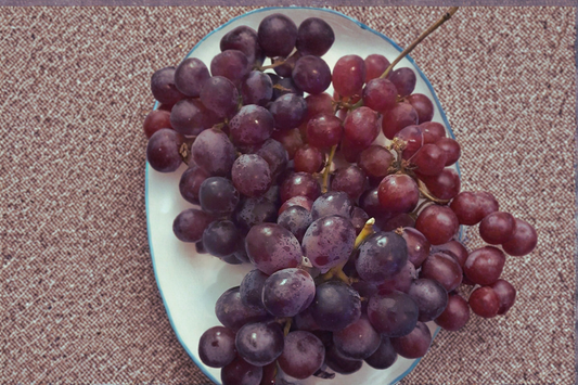 Canadice Seedless Grape Vine Live Plant 1 Gal Sweet Red Table Grape Vine for Garden Trellis Vineyard