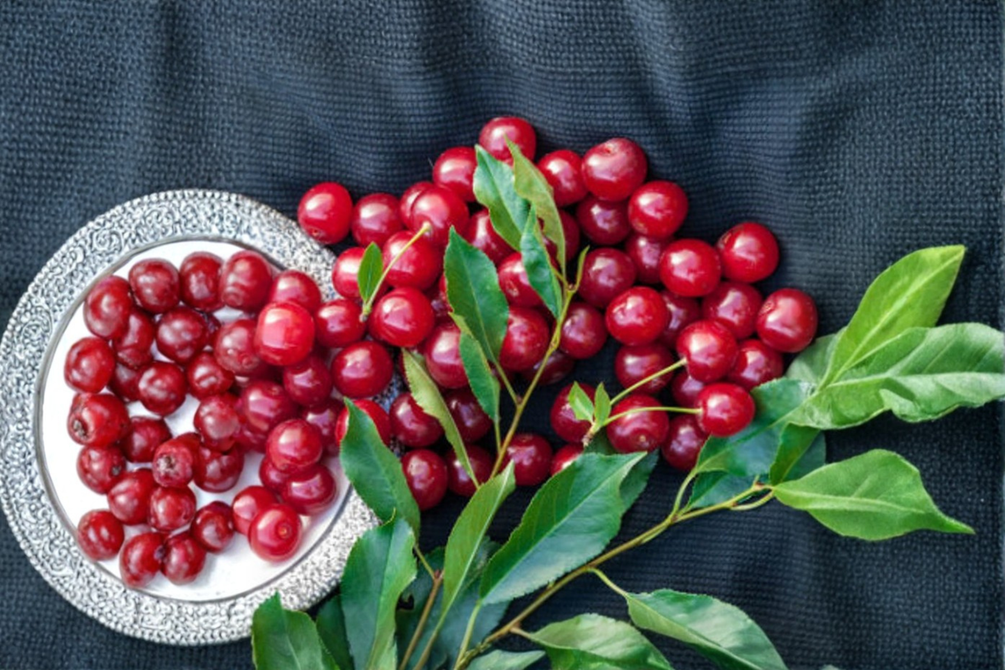 Dwarf Bing Cherry Seeds Sweet Fruit Tree Indoor Outdoor Container Gardening Fresh Harvested 10 Seeds
