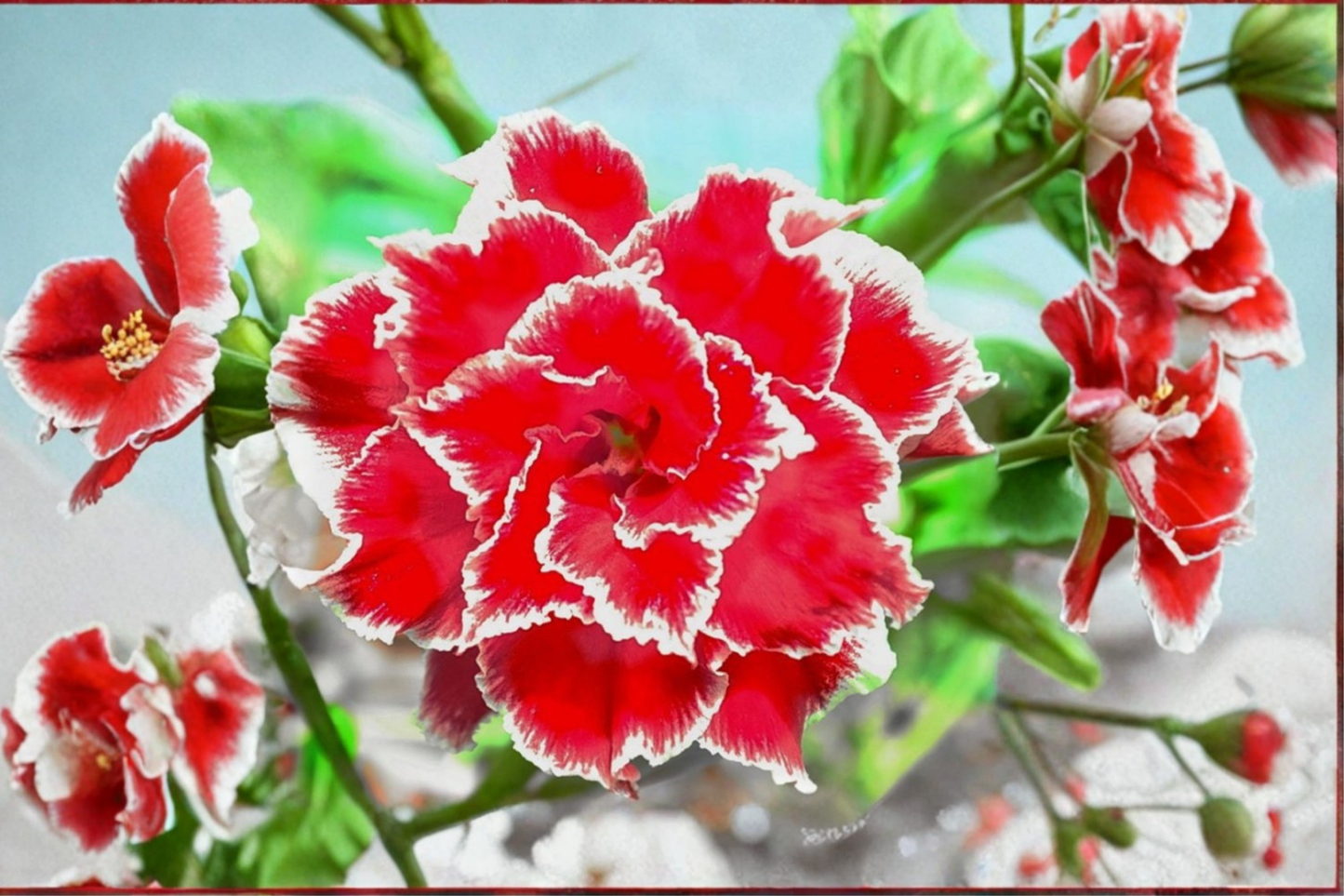 Desert Rose Seeds Adenium Obesum Mixed Color Flower Plant Indoor Outdoor Growing 10 Seeds