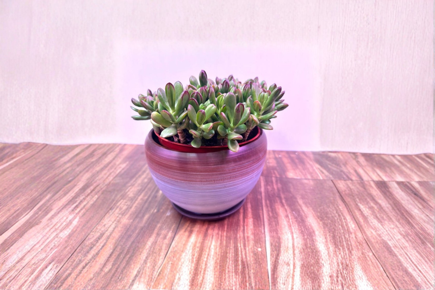 Gradient Glazed Ceramic Planter with Drainage Saucer Small 4x3 Indoor Plant Pot for Houseplants and Flowers