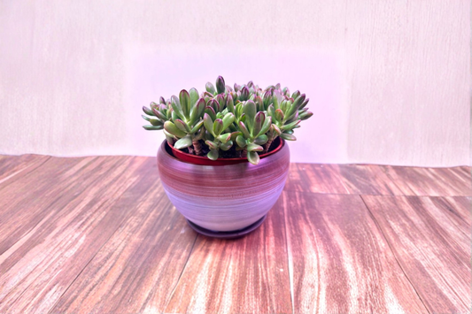 Gradient Glazed Ceramic Planter with Drainage Saucer Small 4x3 Indoor Plant Pot for Houseplants and Flowers