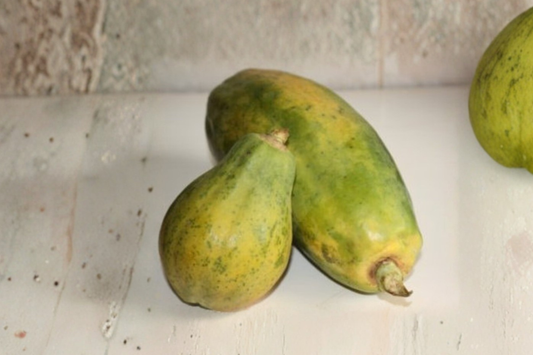 Giant Papaya Seeds Rare Tropical Fruit Variety 10 Seeds Exotic Papaya Plant for Outdoor Garden Growing