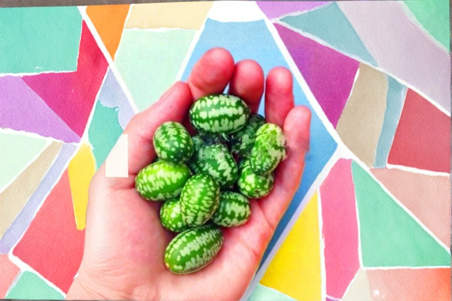 Mouse Cucumber Seeds 20 Pack Mini Cucumber Vine Rare Garden Plant Seeds USA Seller Combined Shipping