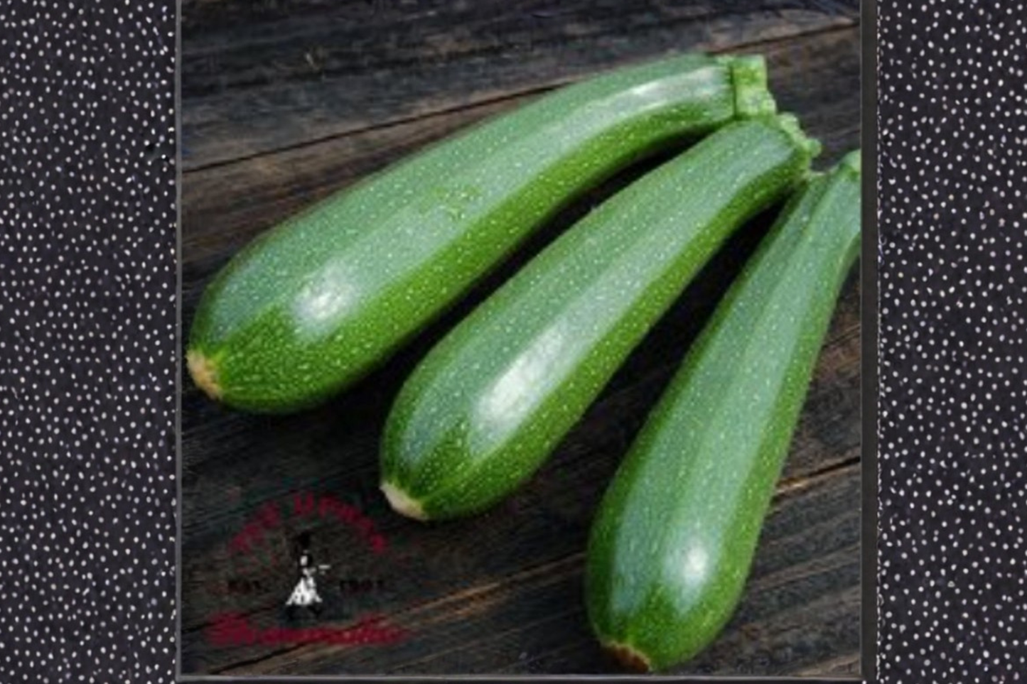 Dwarf Zucchini Seeds Compact Summer Squash Plant 20 Seeds for Container and Outdoor Garden Growing