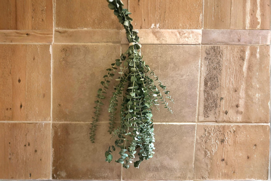 Fresh Eucalyptus Shower Bundle Hanging Greenery Bathroom Decor Natural Fragrant Plant Bundle Gift