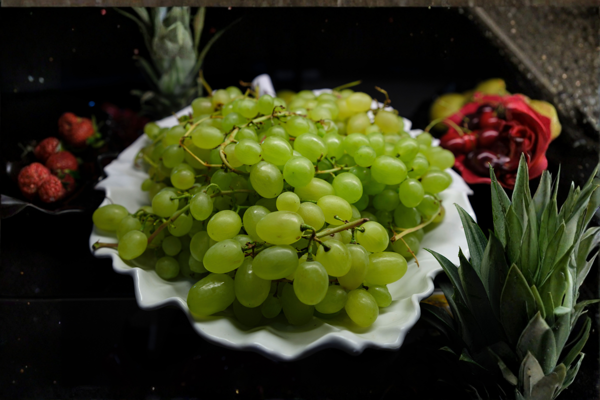 3 Green Thompson Seedless Grape Live Unrooted 6-Inch Vine Cuttings – Vitis vinifera