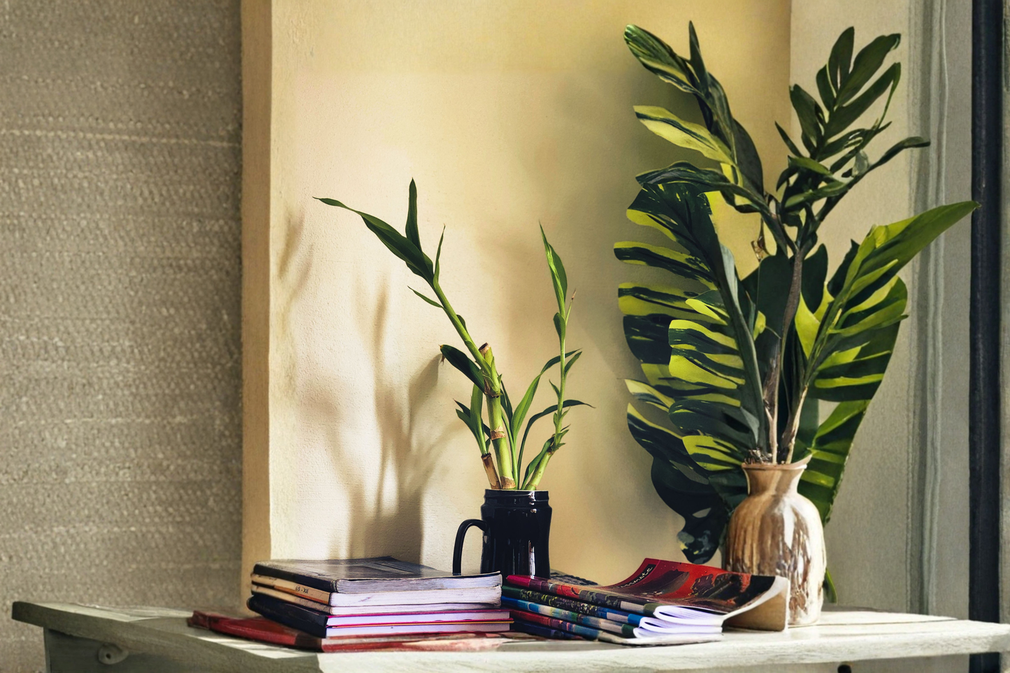 7 Lucky Bamboo Live Plants 4 Inches – Dracaena sanderiana Starter Bundle