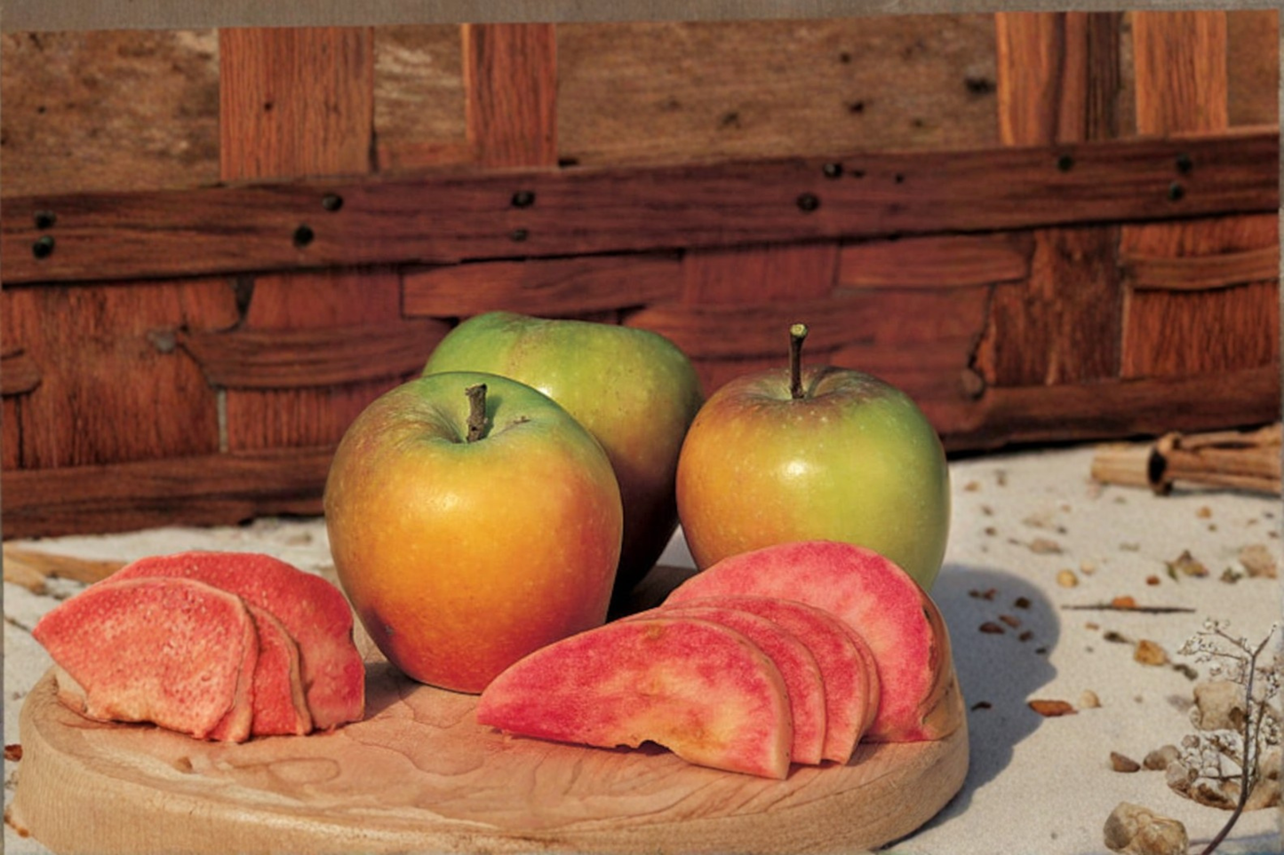 Mountain Rose Apple Tree Grafted Live Plant 1 Gallon Potted Dwarf Apple Tree Ready to Grow Home Orchard Tree