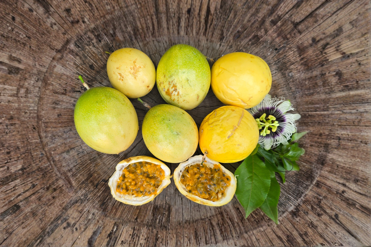 Giant Granadilla Passion Fruit Seeds Rare Tropical Vine 15 Seeds for Garden Trellis and Outdoor Growing