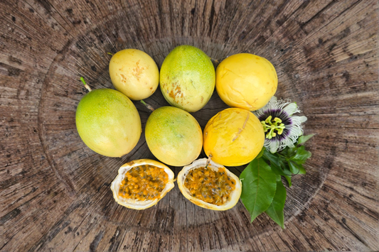 Giant Granadilla Passion Fruit Seeds Rare Tropical Vine 15 Seeds for Garden Trellis and Outdoor Growing