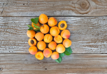 Royal Apricot Cuttings 5 Count Live Scion Wood for Grafting Prunus Armeniaca Fruit Tree