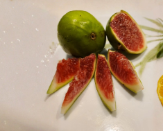 White Madeira Fig Summer Cutting 10 Inch Hardwood Ficus carica Unrooted Cutting