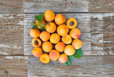 Royal Apricot Live Cuttings for Grafting Organic Rare Variety 5 Pieces Prunus armeniaca