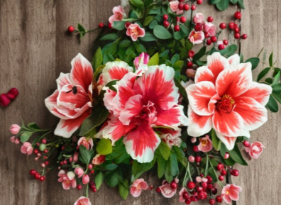 Mardi Gras Azalea Starter Plant Deciduous Rhododendron Red White Bicolor
