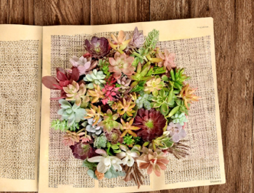 50 Succulent Cuttings Assorted Mix 40 Varieties Includes Rare Types Live Unrooted Propagation Pack