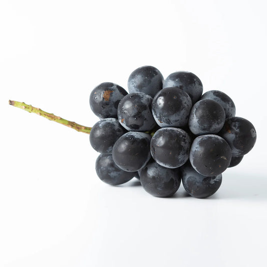 6pcs Japanese Kyoho Grape Cuttings – Unrooted Vitis vinifera × Vitis labrusca, Sweet Giant Fruit, Grow Your Own Table Grapes