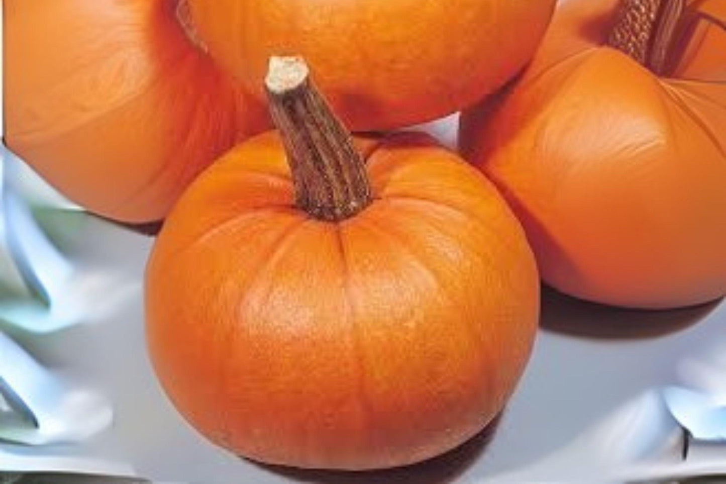 Small Sugar Pumpkin Seeds: Heirloom Baking Variety - 5 Seeds