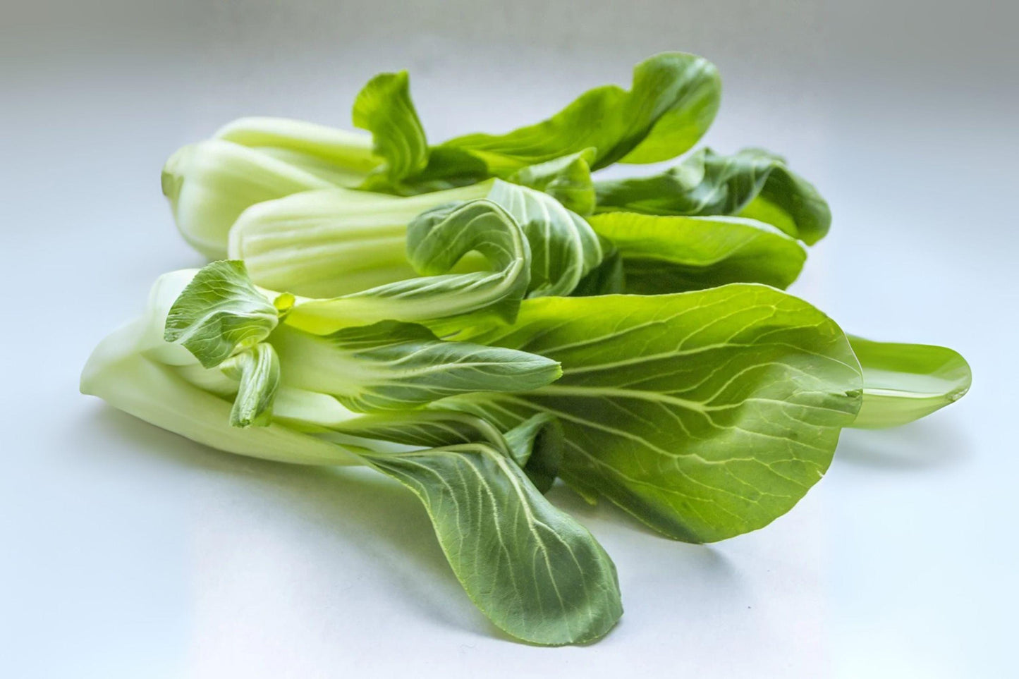 Tatsoi Seeds: Asian Heirloom Leafy Green, Baby Bok Choy - 250 Seeds