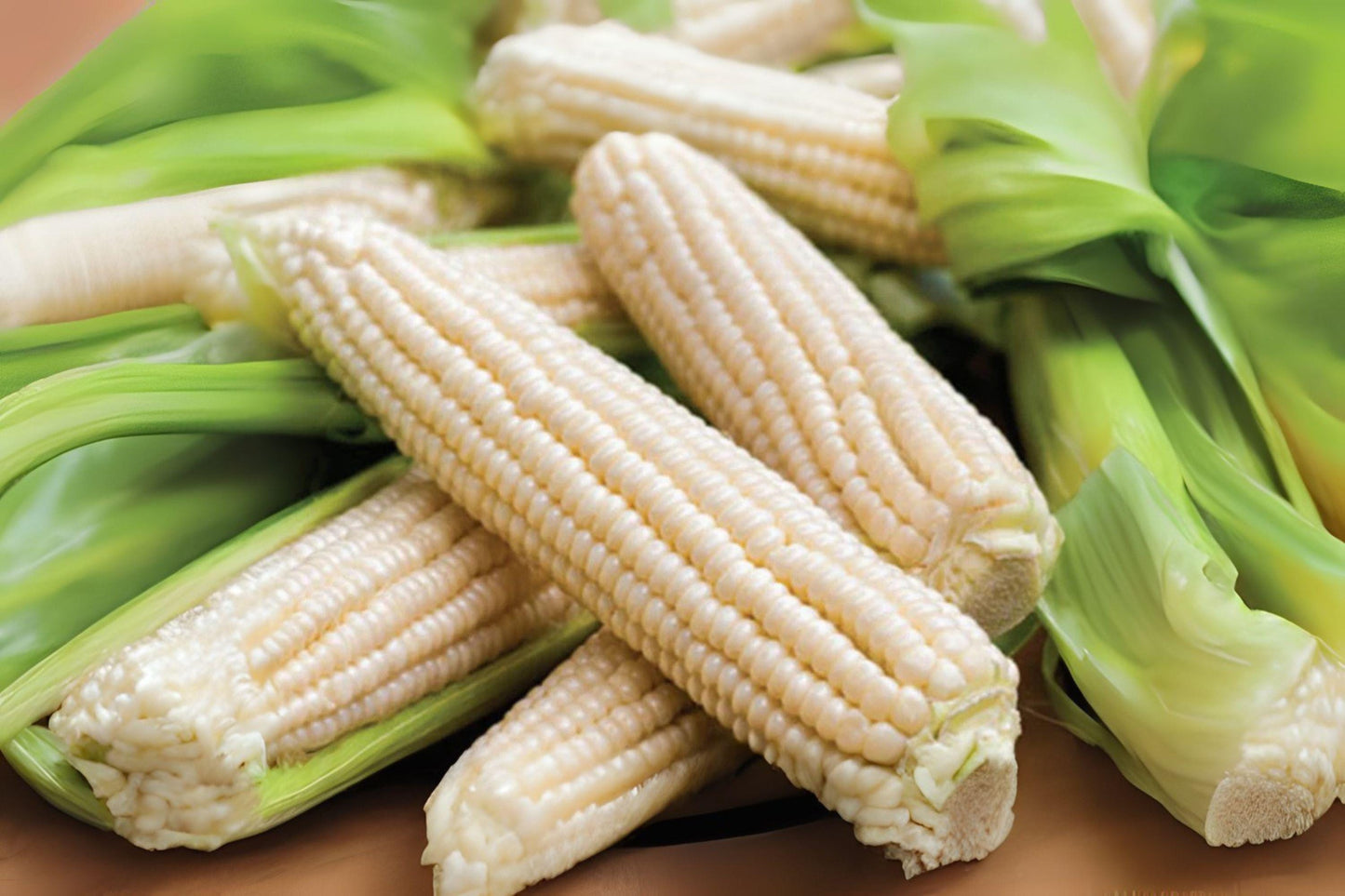 35 Silver Queen Sweet Corn Seeds: High-Yield Garden Variety