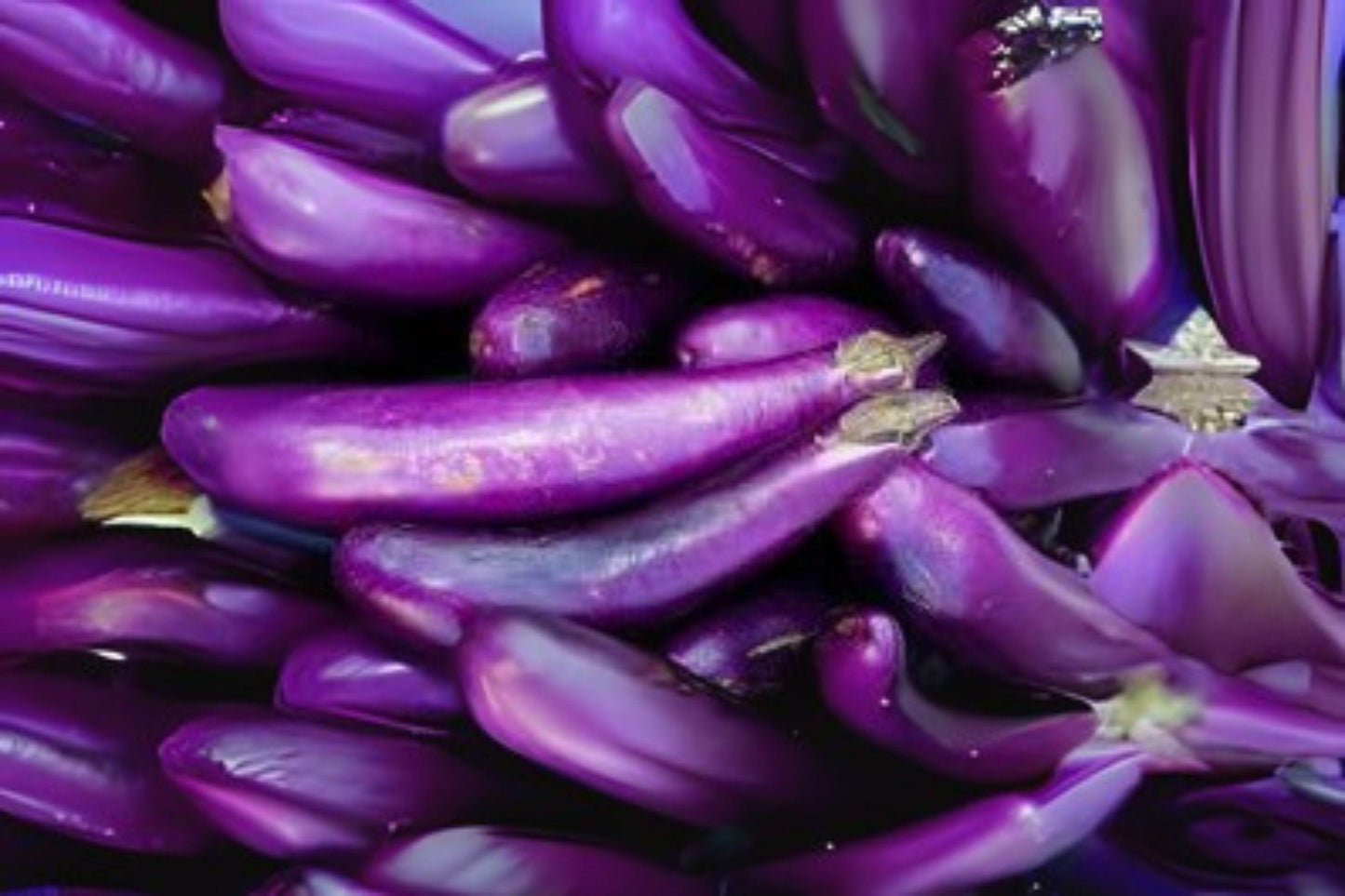 Long Purple Eggplant Seeds: Heirloom Slim Variety - 50 Seeds