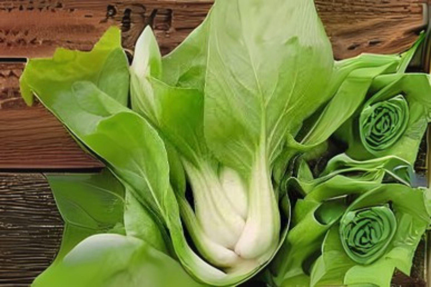 Pak Choi White Stem Seeds: Chinese Cabbage, Easy Grow - 400 Seeds