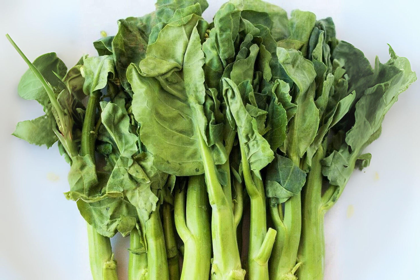 Wan Shen Kailan Seeds: Chinese Broccoli for Stir Fry - 150 Heirloom Seeds