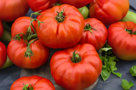 300mg Seeds Tomato Beefsteak | Heirloom Large Slicing Tomato | Garden Vegetable