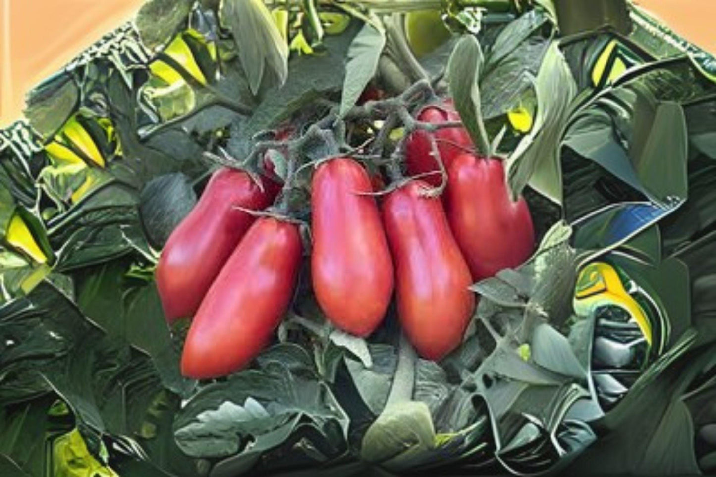 San Marzano Tomato Seeds: Italian Heirloom Paste Tomato (100mg)