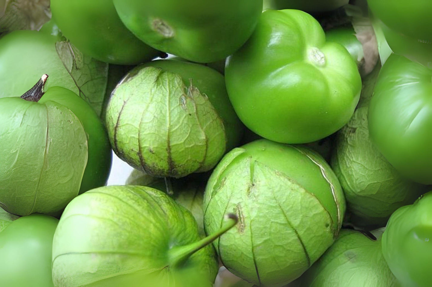 100 mg Tomatillo Verde Seeds | Heirloom Vegetable | Green Salsa Tomatillo for Home Garden